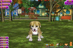 《寵物狗2006》 《寵物狗2006》