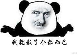 社交裝B 社交裝B