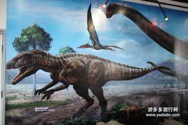 中華盜龍 中華盜龍