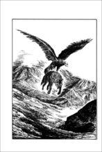 與金雕搏鬥的紫嵐