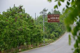 中國玫瑰谷 中國玫瑰谷