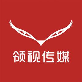 深圳市領視傳媒有限公司 深圳市領視傳媒有限公司