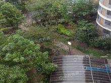 金雅大廈實景圖