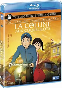 來自虞美人之坡