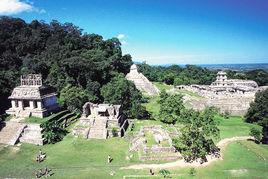 叢林金字塔 叢林金字塔