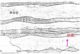火焰狀構造 火焰狀構造