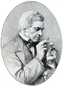 奧古斯特·格里瑟巴赫 奧古斯特·格里瑟巴赫