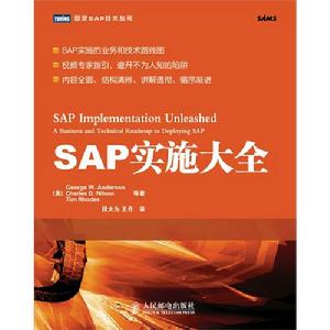 SAP實施大全