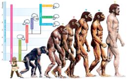 變化[漢語詞語]