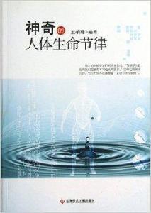 神奇的人體生命節律 神奇的人體生命節律