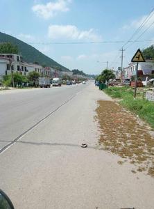 山東343省道 山東343省道