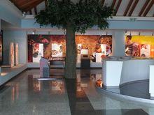 貴陽藥用植物園