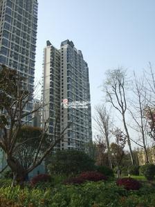 佳兆業&middot;麗晶港 社區實景