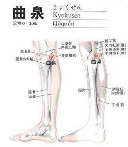 曲泉穴