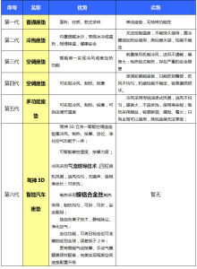 駕神智慧型汽車坐墊功能表