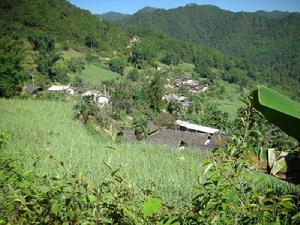 酸杷寨自然村 酸杷寨自然村