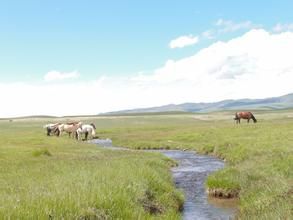 巴音布魯克草原