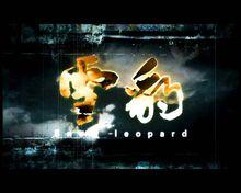 雪豹[2010年文章主演電視劇]