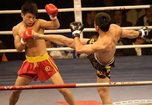 2010年中國武術散打功夫王爭霸賽