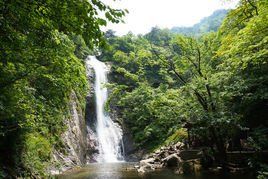 清爽宜人 清爽宜人