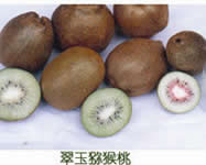 翠玉獼猴桃