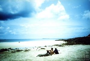 《太陽下的血蛇》