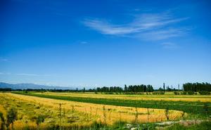 庫爾德寧風景區