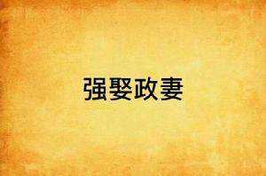 強娶政妻 強娶政妻