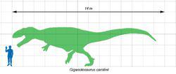 南方巨獸龍與人類大小比較