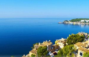 馬約卡島 馬約卡島