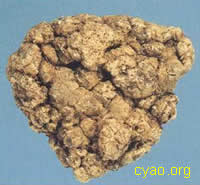 胎盤柏葉膠囊 胎盤柏葉膠囊