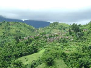 阿的自然村 阿的自然村