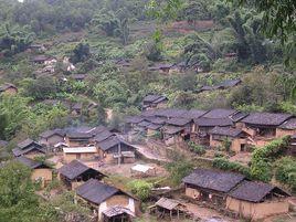 酸杷樹自然村 酸杷樹自然村