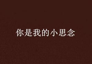 你是我的小思念 你是我的小思念