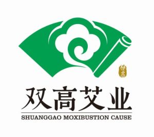 北京雙高艾業科技有限公司 北京雙高艾業科技有限公司