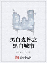黑白森林之黑白城市 黑白森林之黑白城市