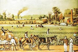 美國種植園奴隸制 美國種植園奴隸制