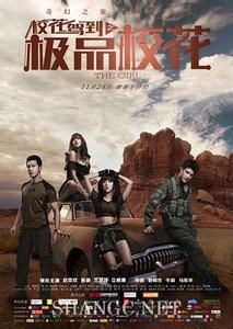 校花駕到之極品校花