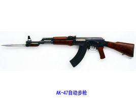 ak47[1947年蘇聯卡拉什尼科夫設計步槍]