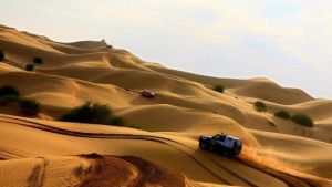 大沙頭生態文化區 大沙頭生態文化區