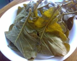 玻璃葉餅 玻璃葉餅