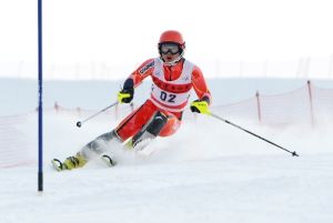世界高山滑雪錦標賽 世界高山滑雪錦標賽