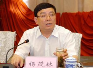 楊茂林[山西省煤炭工業廳黨組成員、副廳長]