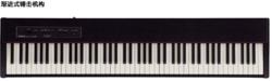 羅蘭電鋼琴