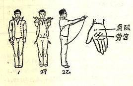 舒心平血功 舒心平血功