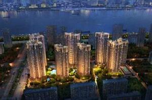 大華鉑金華府 大華鉑金華府