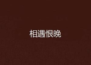 相遇恨晚 相遇恨晚