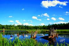 伊圖里河國家濕地公園