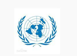 聯合國徽章 聯合國徽章