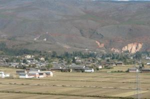 東鳳自然村 東鳳自然村